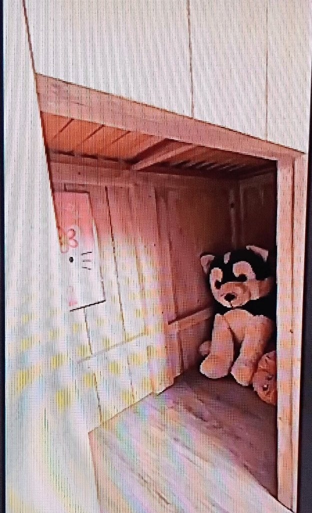 Kinderbed met speelruimte onder, Kinderen en Baby's, Ophalen, Gebruikt, Hoogslaper