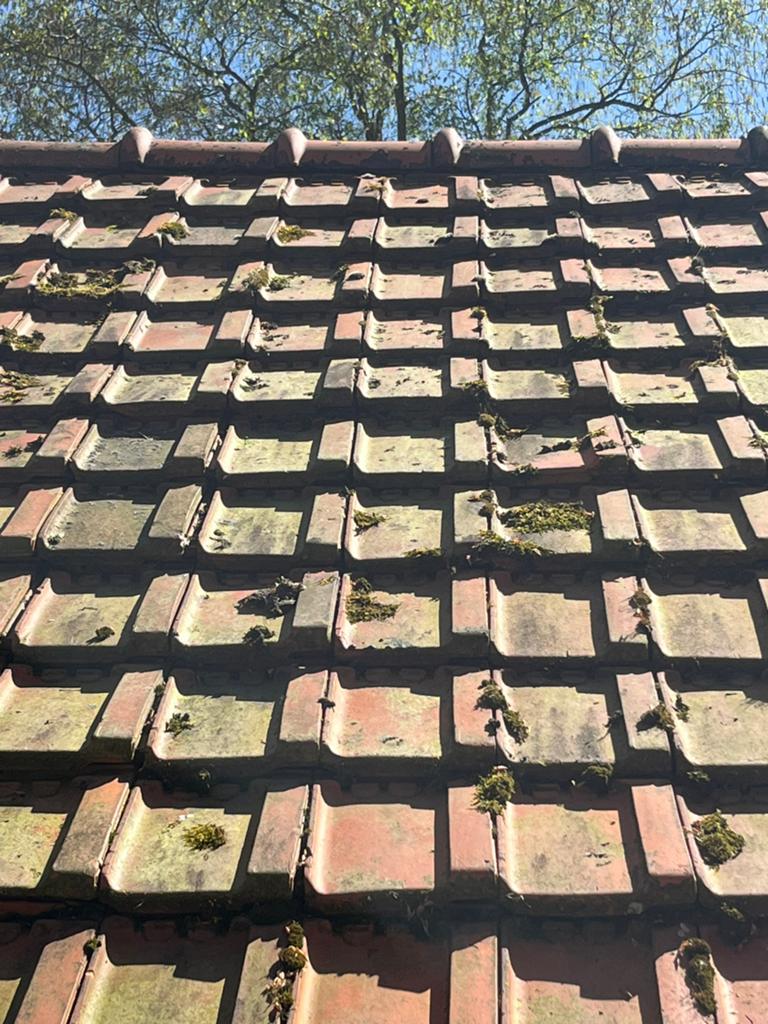 1600 x Tuile du nord dakpannenfabriek Meeuwissen / de Valk, Steen of Klei, Ophalen of Verzenden, Zo goed als nieuw, 15 m² of meer