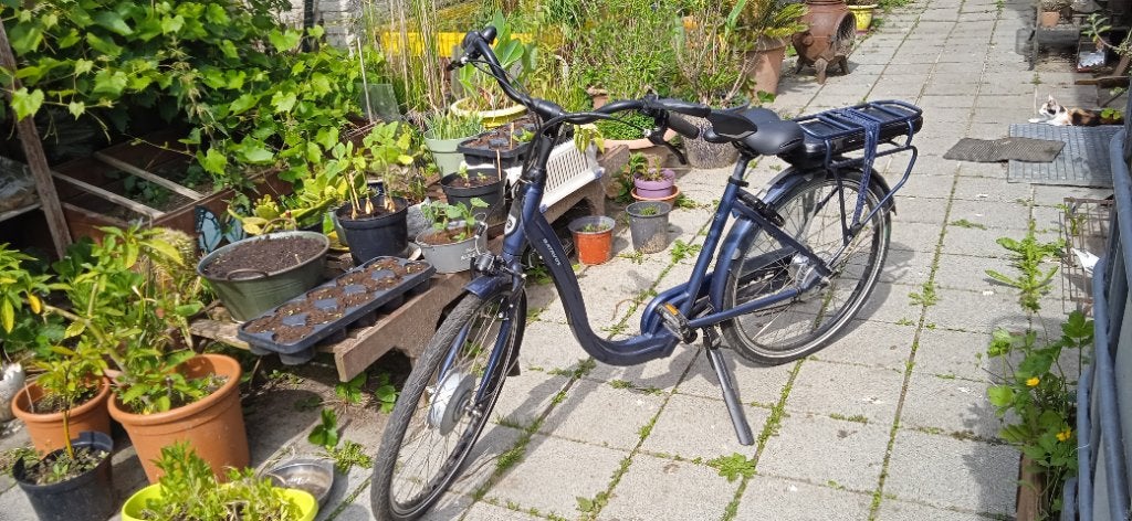 Batavus entree.elektrische lage instap fiets, Ophalen, Batavus, Versnellingen, Zo goed als nieuw