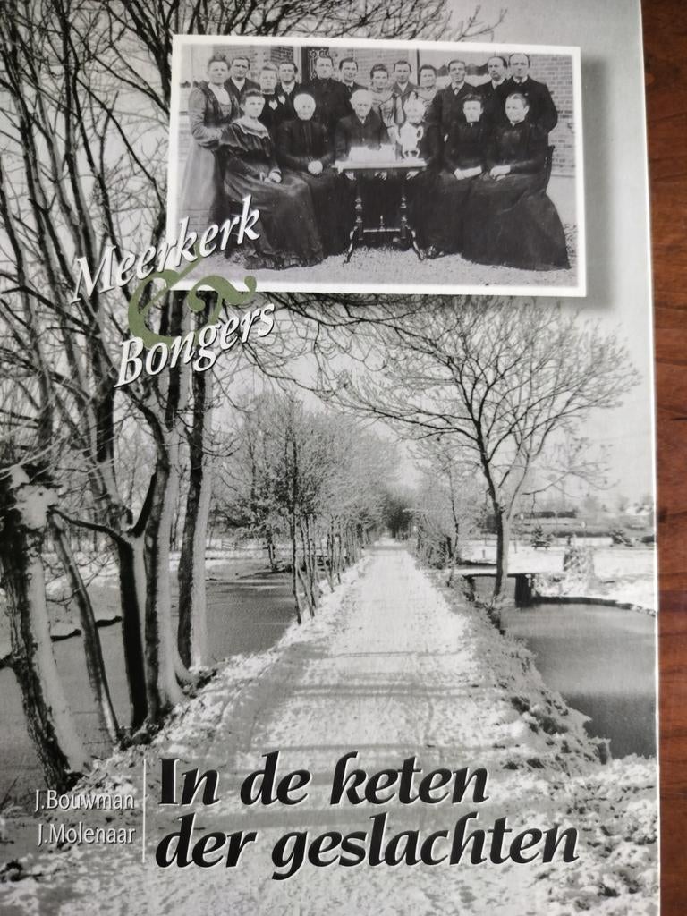In de keten der geslachten - Meerkerk Bongers, Ophalen of Verzenden