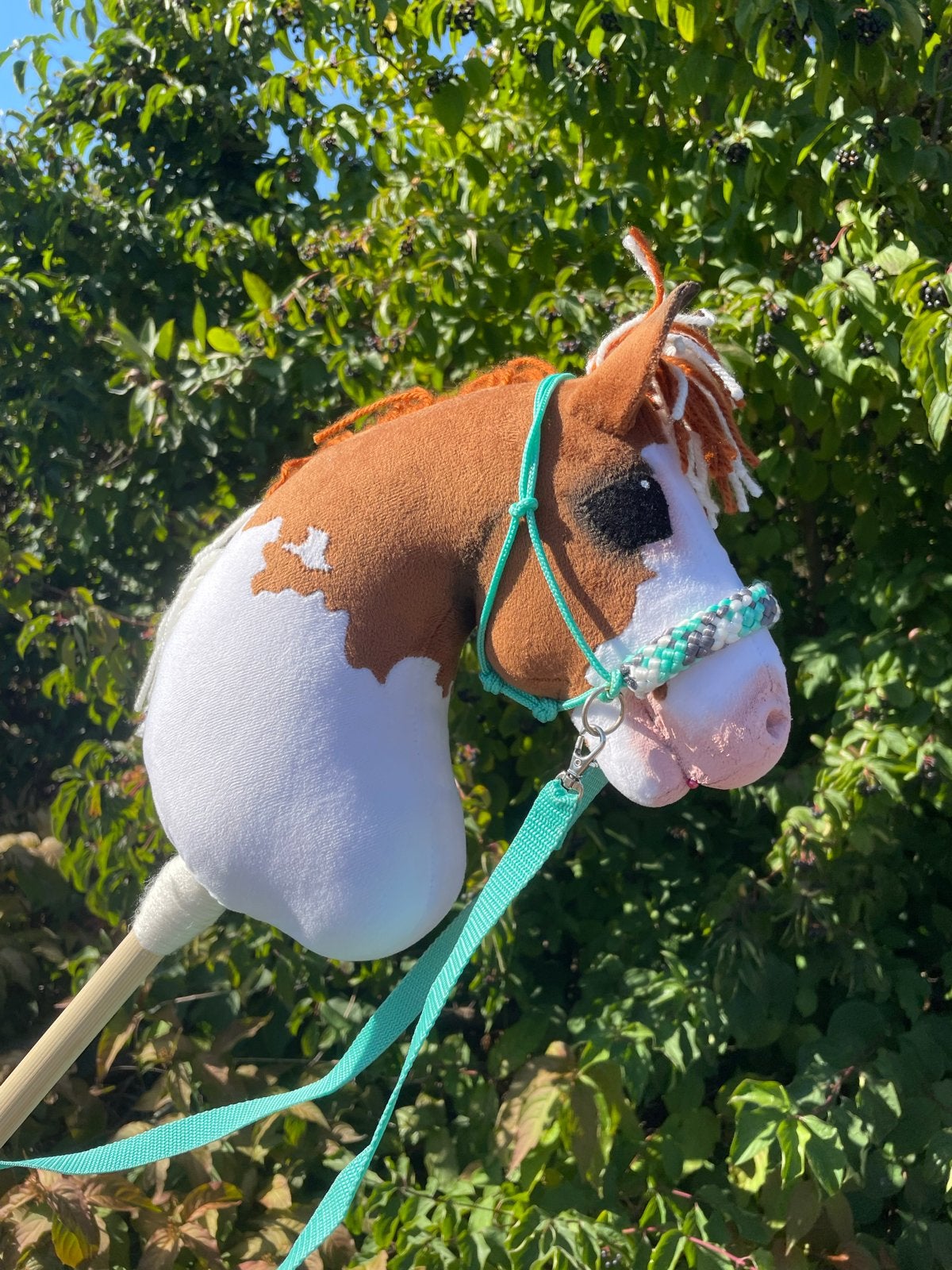 Hobby horse, Ophalen of Verzenden, Nieuw, Jongen of Meisje