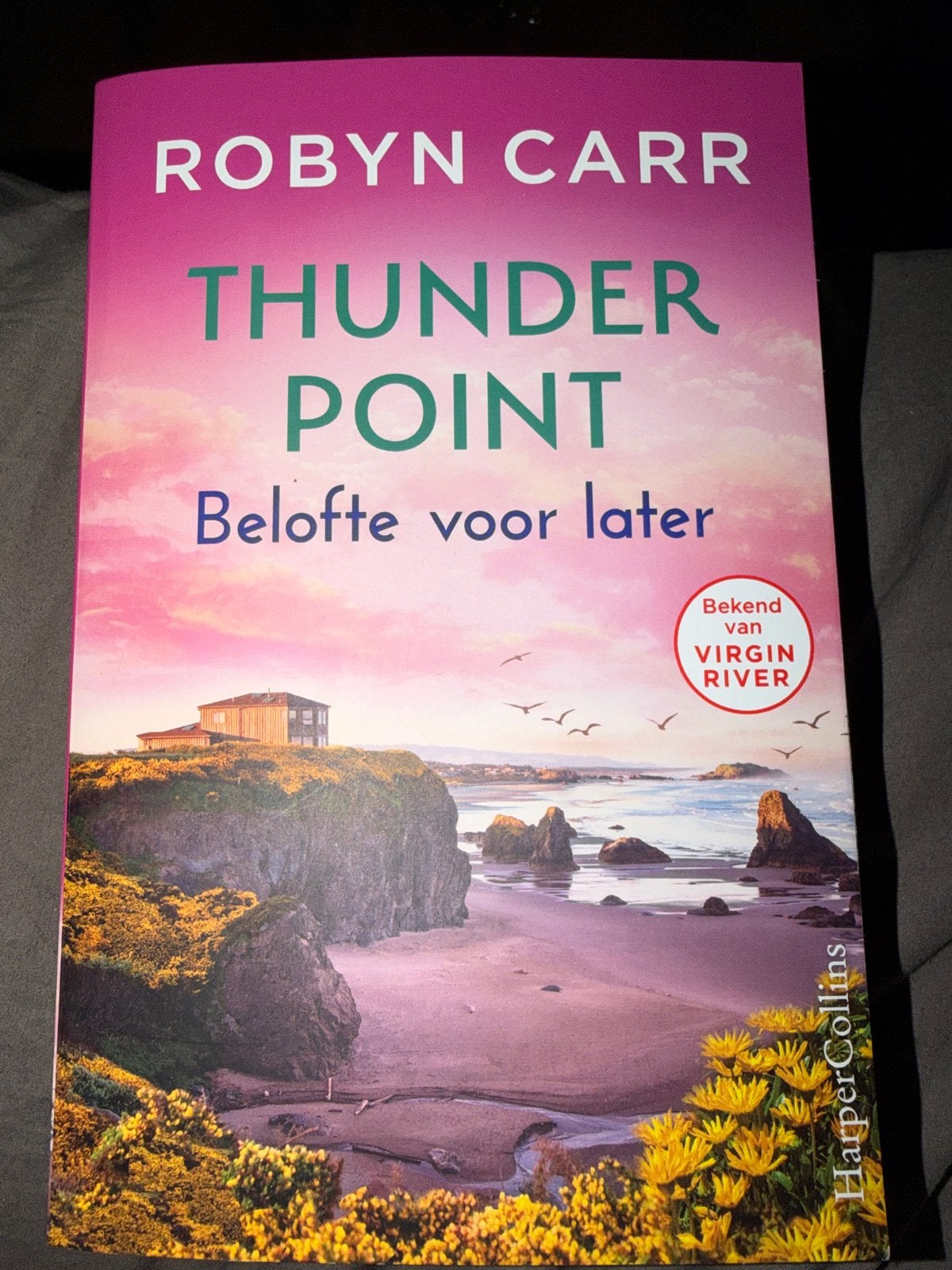 KR.   Robyn Carr - Belofte voor later, Ophalen of Verzenden, Zo goed als nieuw, Robyn Carr