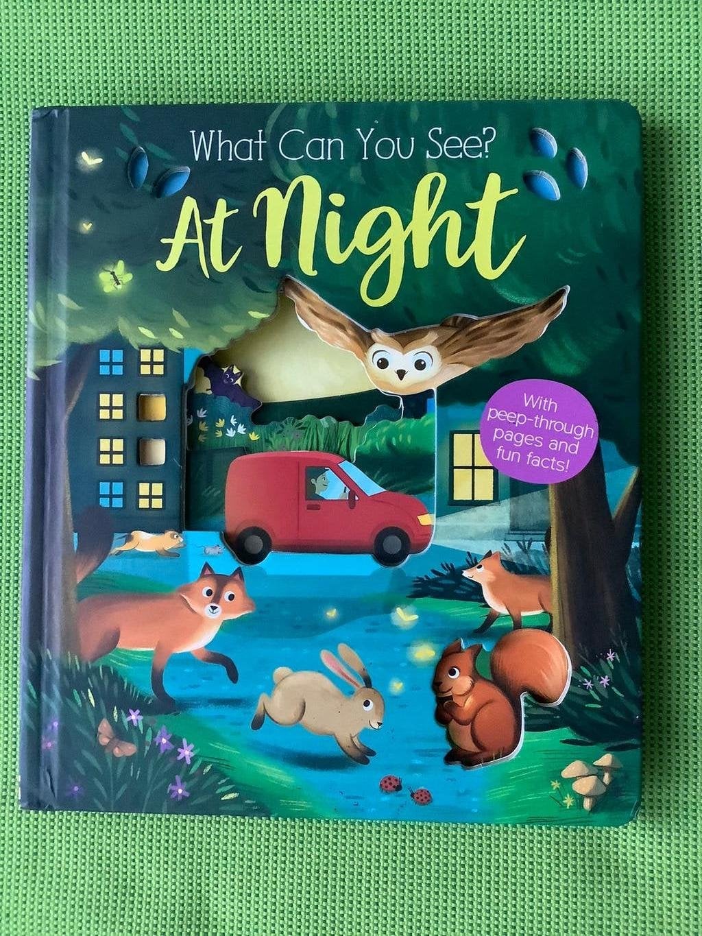 3 prentenboeken - What you Can See - Night, Zoo, Farm, Boeken, Kinderboeken | Kleuters, Ophalen of Verzenden, Zo goed als nieuw