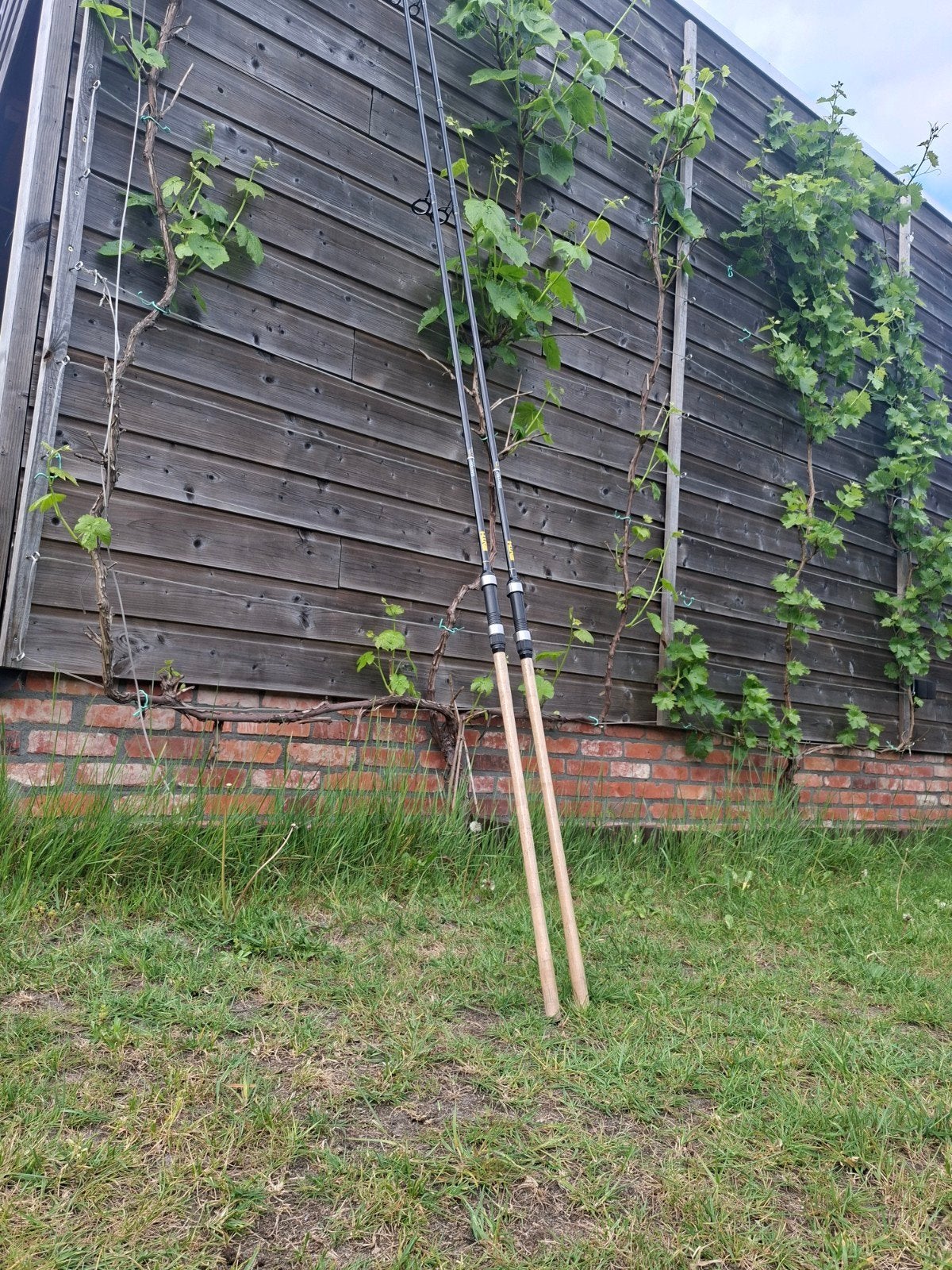 Fait Slender Carp 12ft 3.00lbs karperhengels (2 stuks), Ophalen, Zo goed als nieuw, Werphengel