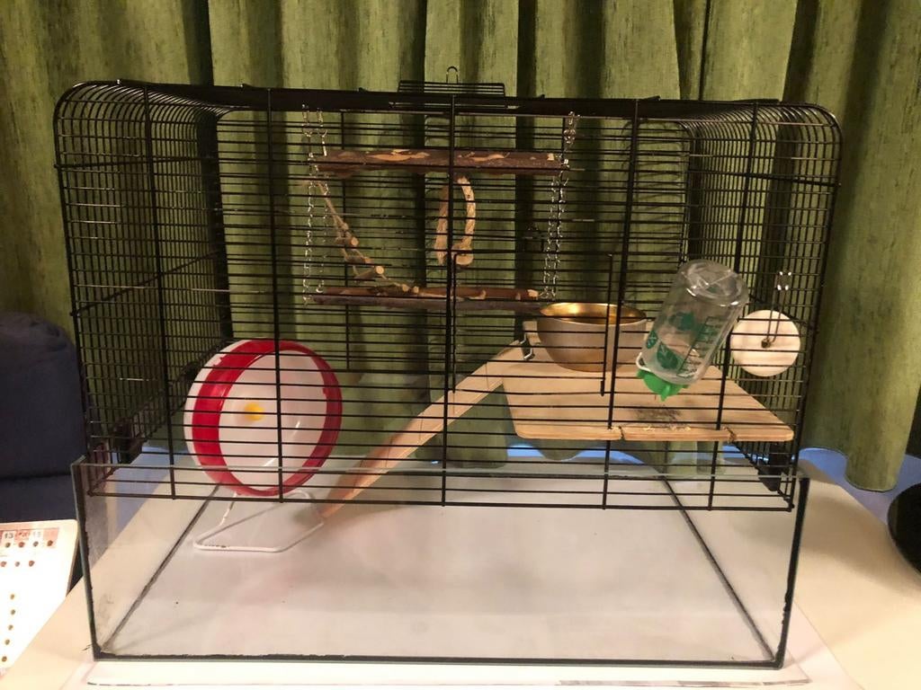 Hamster kooi met basis set en veel extra’s, Minder dan 60 cm, Kooi, Gebruikt, Minder dan 75 cm