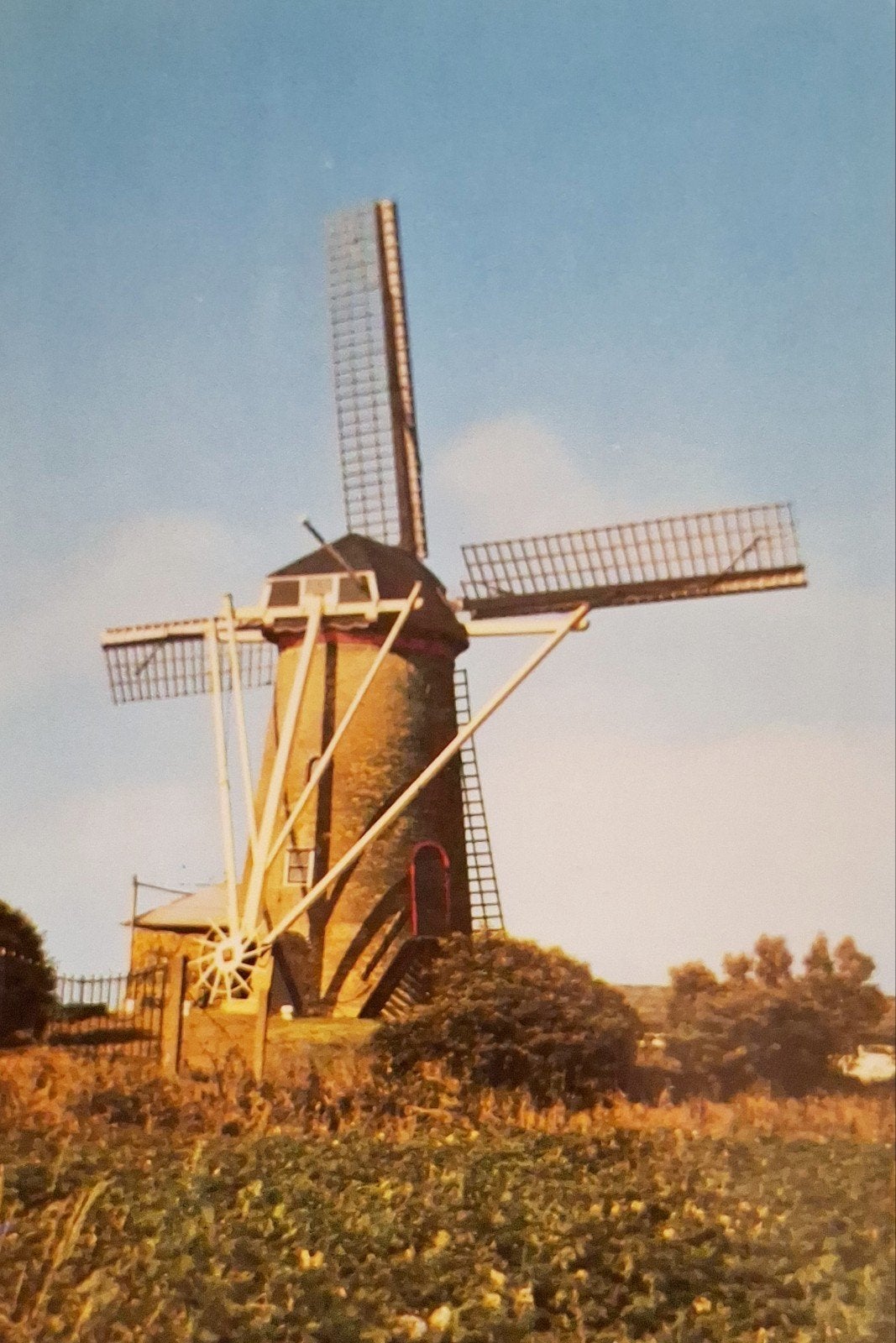 Goedereede - Molen - 1975, Ophalen of Verzenden, 1960 tot 1980, Ongelopen, Zuid-Holland