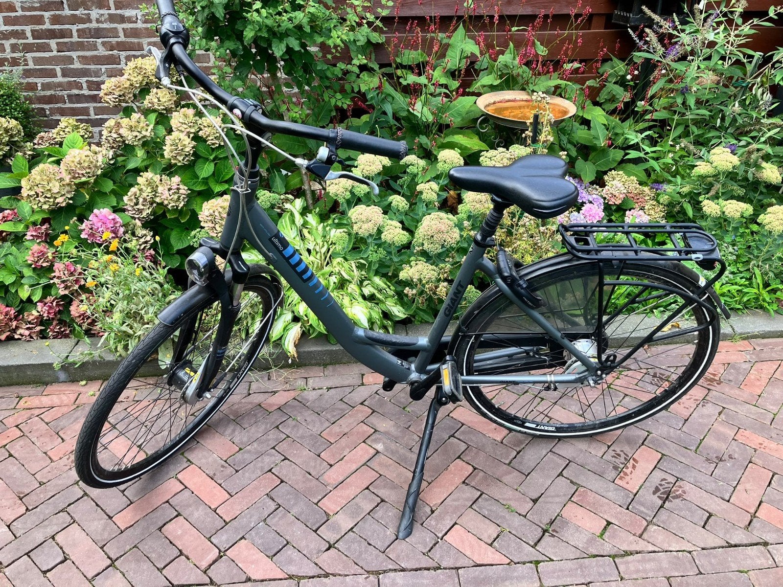 Giant Ultimo Damesfiets, Fietsen en Brommers, Ophalen, 53 tot 56 cm, Velgrem, Versnellingen