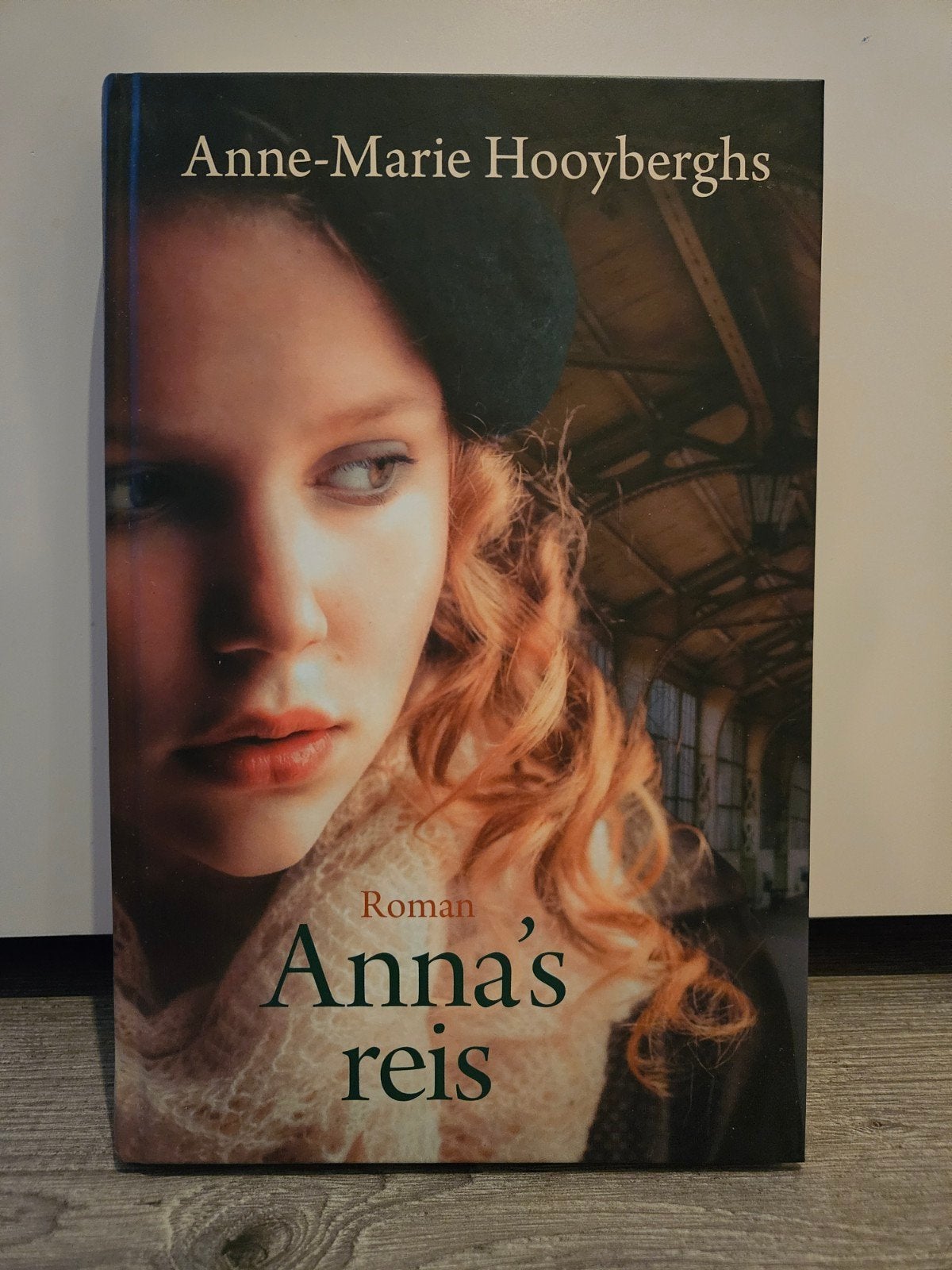 Anne-Marie Hooyberghs - Anna's reis, Boeken, Noord-Brabant, Anne-Marie Hooyberghs, Ophalen of Verzenden, Zo goed als nieuw