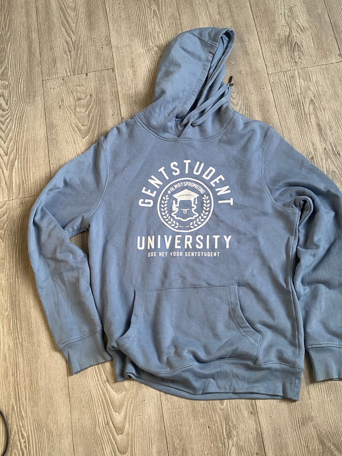 GENTSTUDENT UNIVERSITY Hoodie - Lichtblauw, Kleding | Heren, Truien en Vesten, Gedragen, Maat 48/50 (M), Blauw, Ophalen of Verzenden