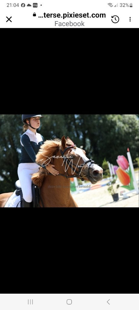 Brave kinderpony, B, 3 tot 6 jaar, Recreatiepony, D pony (1.37m tot 1.48m)