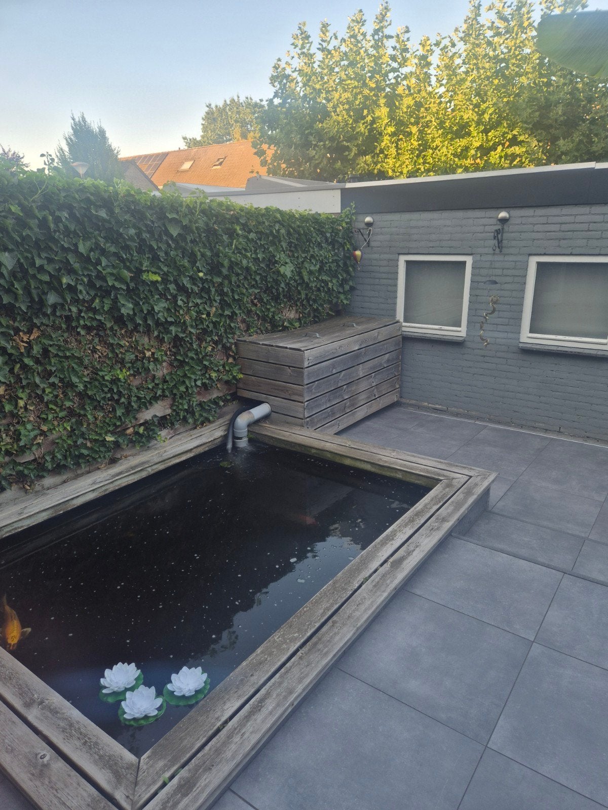 Te koop koivijver  met 9 koi's en 1 steur en toebehoren, Tuin en Terras, Vijvers, Ophalen