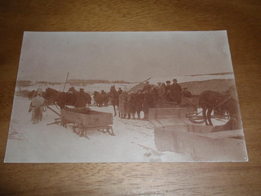 Fotokaart Paardenslee Sneeuw, Verzenden, 1920 tot 1940, Ongelopen, Voertuig