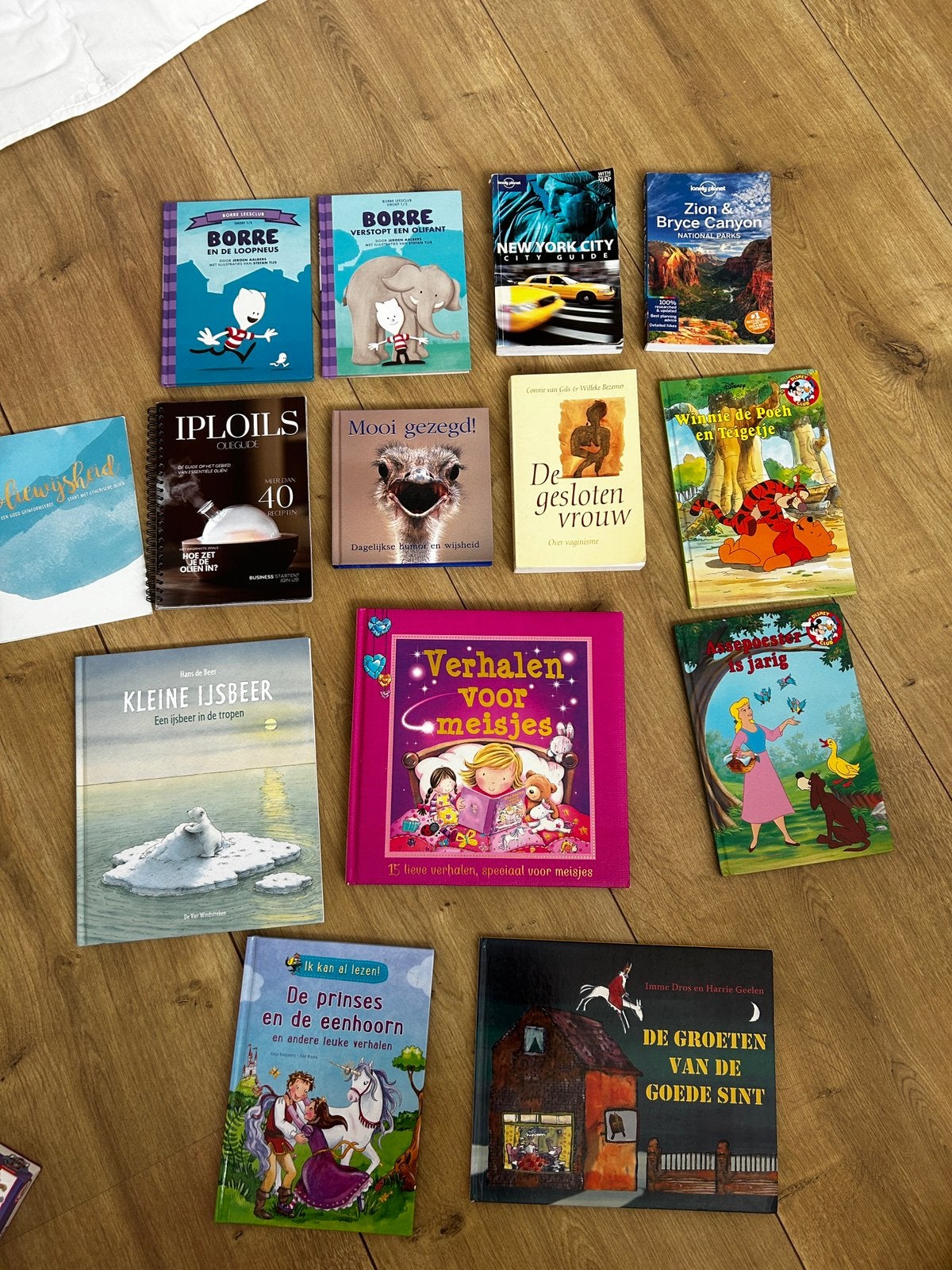Boeken en spelletjes, Ophalen of Verzenden, Zo goed als nieuw
