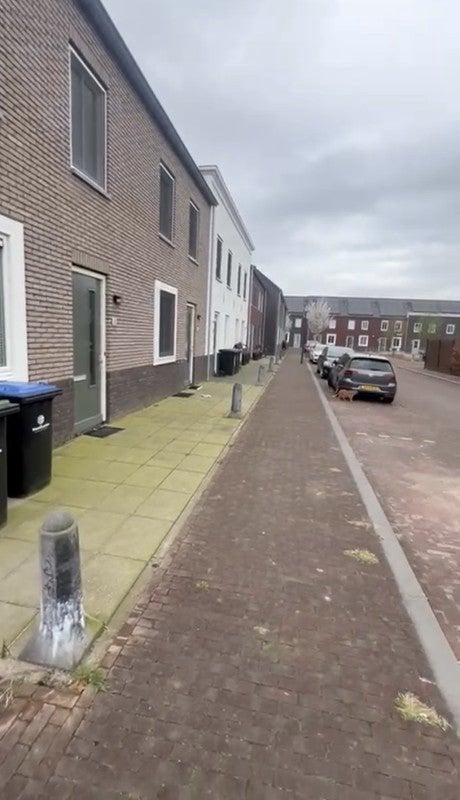 NIEUW! Woonruimte te huur Binnendoorstraat, Hoef en Haag