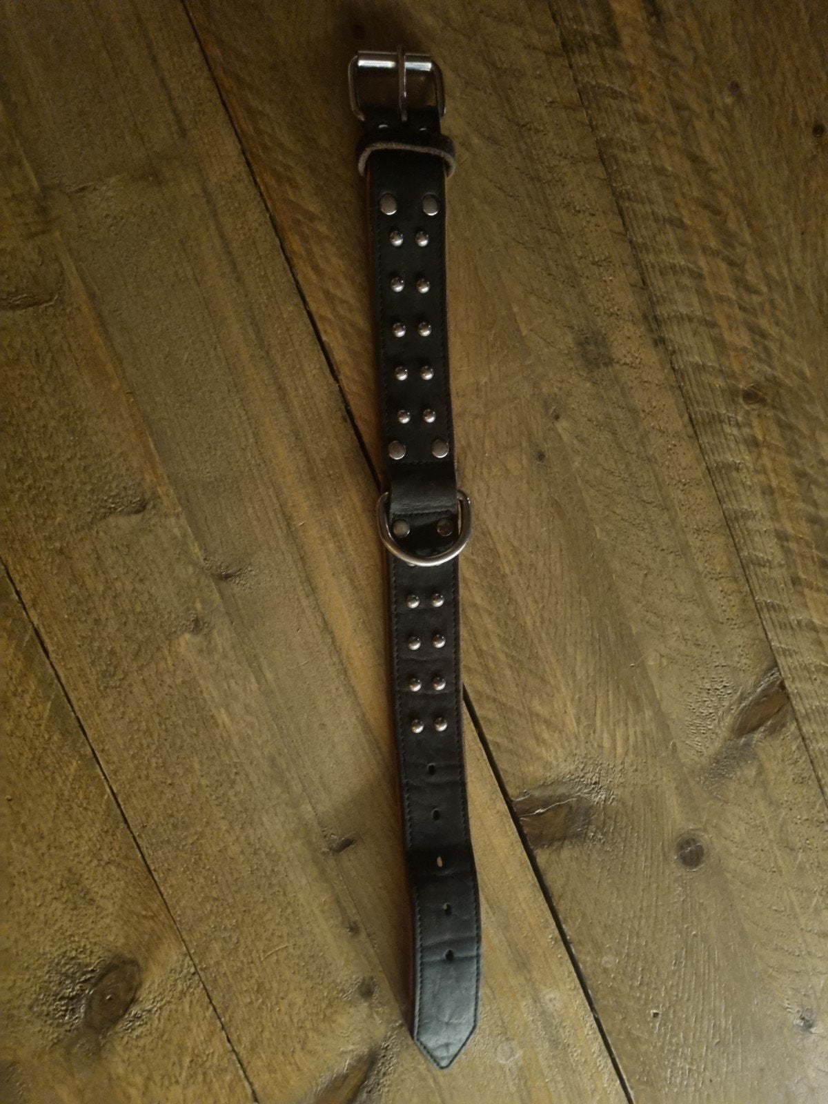 Stoere leren honden halsband!, Ophalen of Verzenden, Nieuw