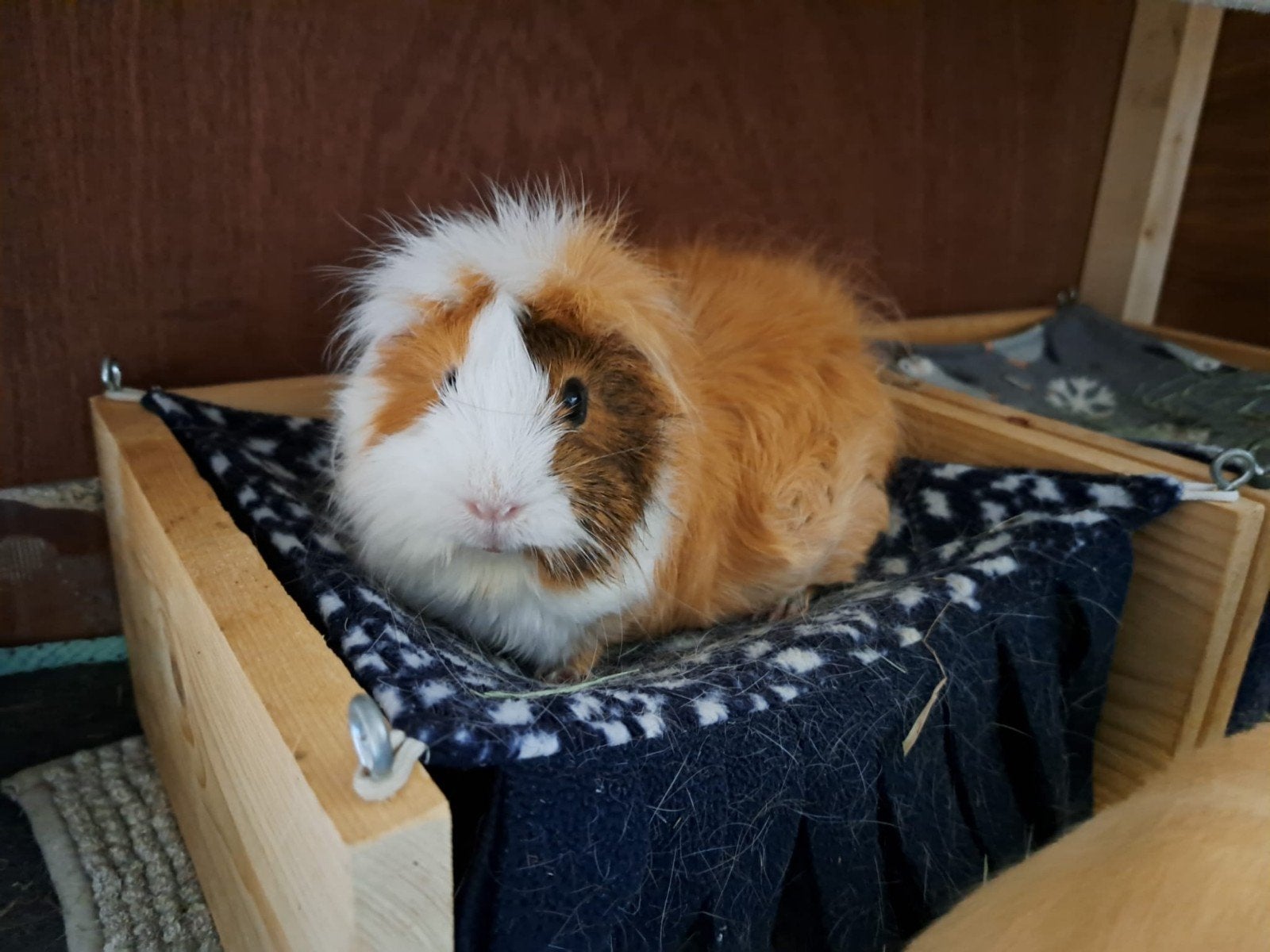 Cavia hangmat huisjes, Dieren en Toebehoren, Ophalen, Gebruikt, Overige typen