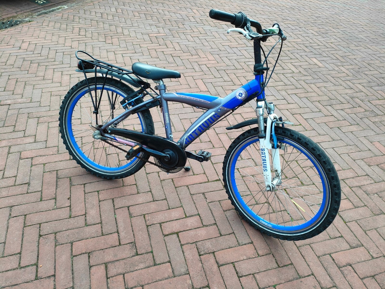 Batavus snake fiets 22 inch met 3 speed, Ophalen, Terugtraprem, 22 inch, Handrem