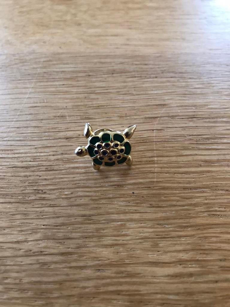 Broche schildpad, Sieraden, Tassen en Uiterlijk, Broches, Ophalen of Verzenden, Gebruikt, Minder dan 4 cm, Overige materialen