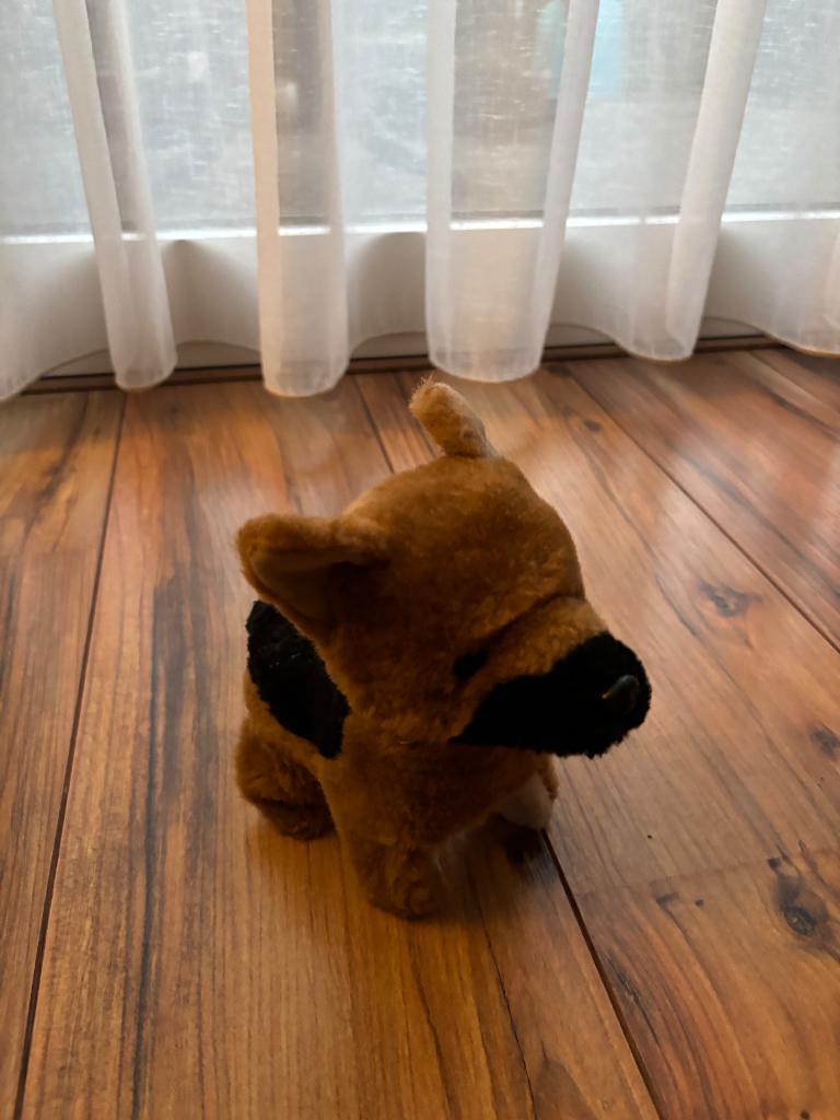 Hondje op batterijen kan lopen, Ophalen, Gebruikt, Hond