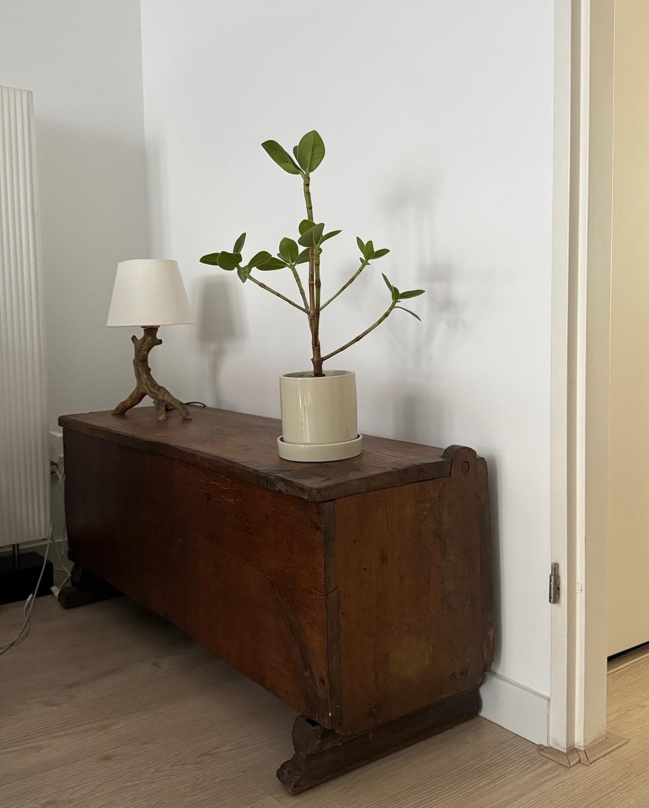 Antieke dekenkist - 112x46x36 cm - Amsterdam, Antiek en Kunst, Ophalen