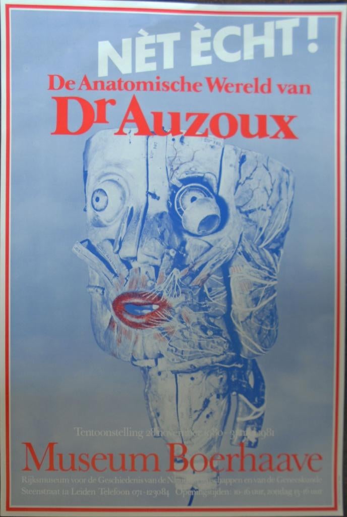 Affiche Museum Boerhave-Net echt, Ophalen of Verzenden, Zo goed als nieuw, A1 t/m A3, Film en Tv