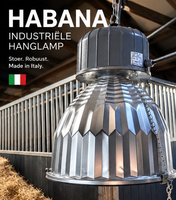 Grote Industriële Hanglamp HABANA -E40 -IP65 -Made in Italy, Ophalen, Nieuw, Metaal, Industrieel
