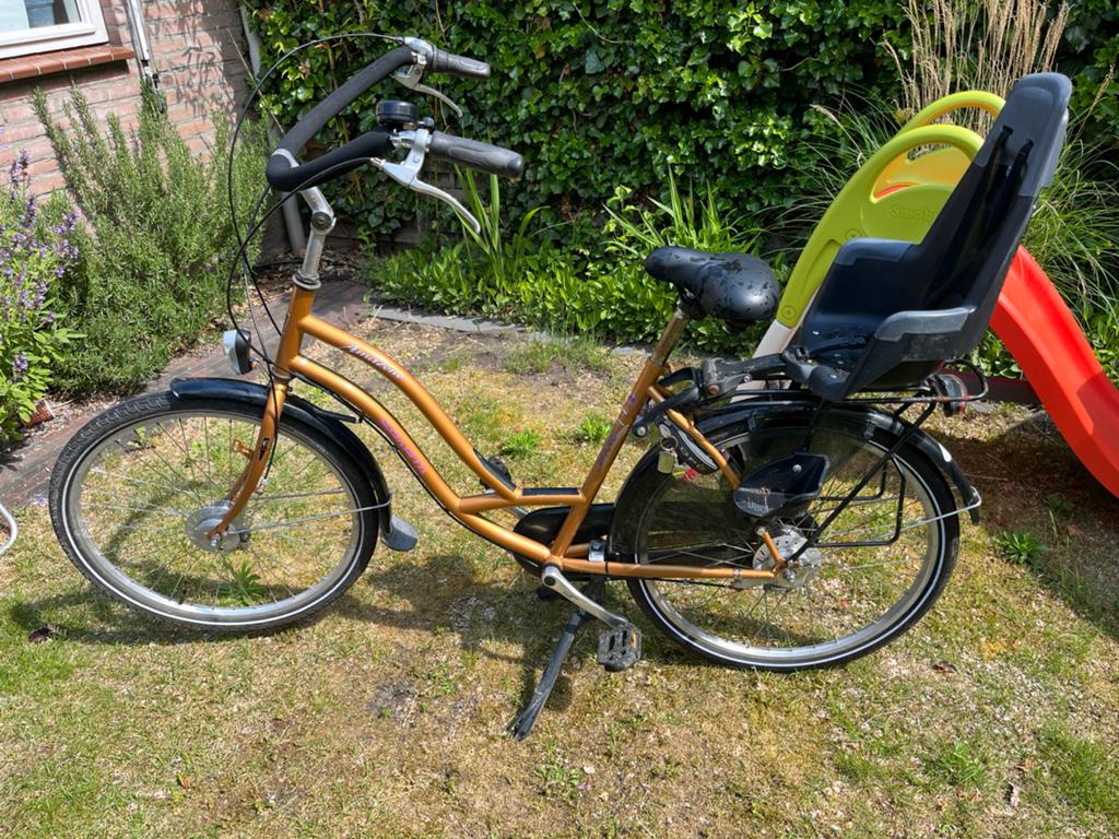 Sparta Amazone, Fietsen en Brommers, Fietsen | Dames | Moederfietsen, Ophalen, Sparta, Gebruikt, Versnellingen