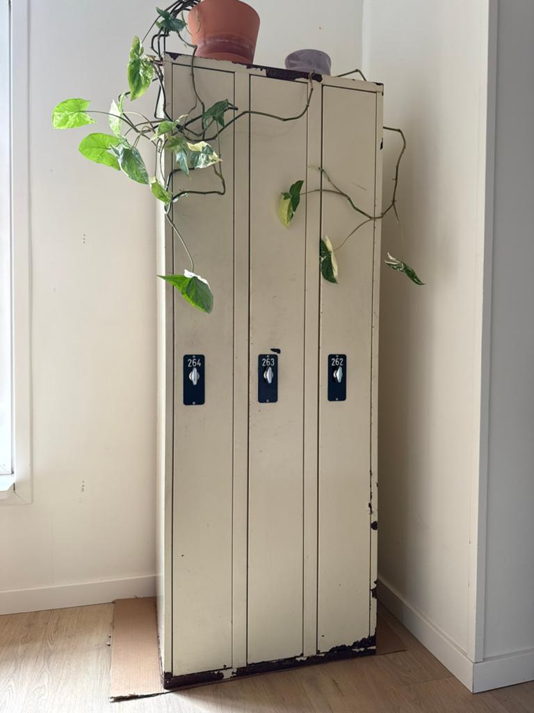 Vintage industriële lockerkast, Huis en Inrichting, Kasten | Lockerkasten, Ophalen, Gebruikt