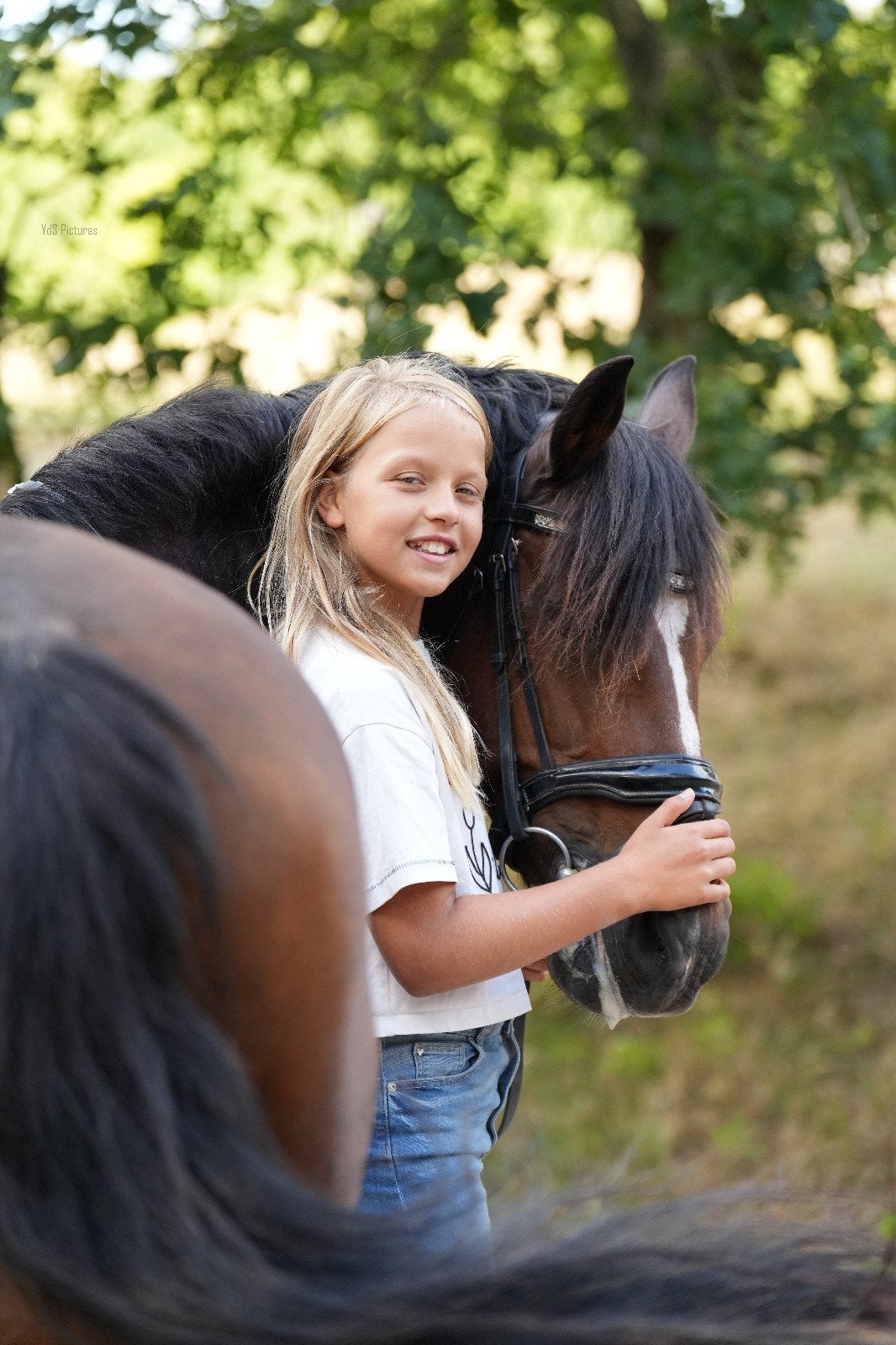 Kleinschalig ponykamp op de Veluwe - heel veel pony plezier!, Ophalen