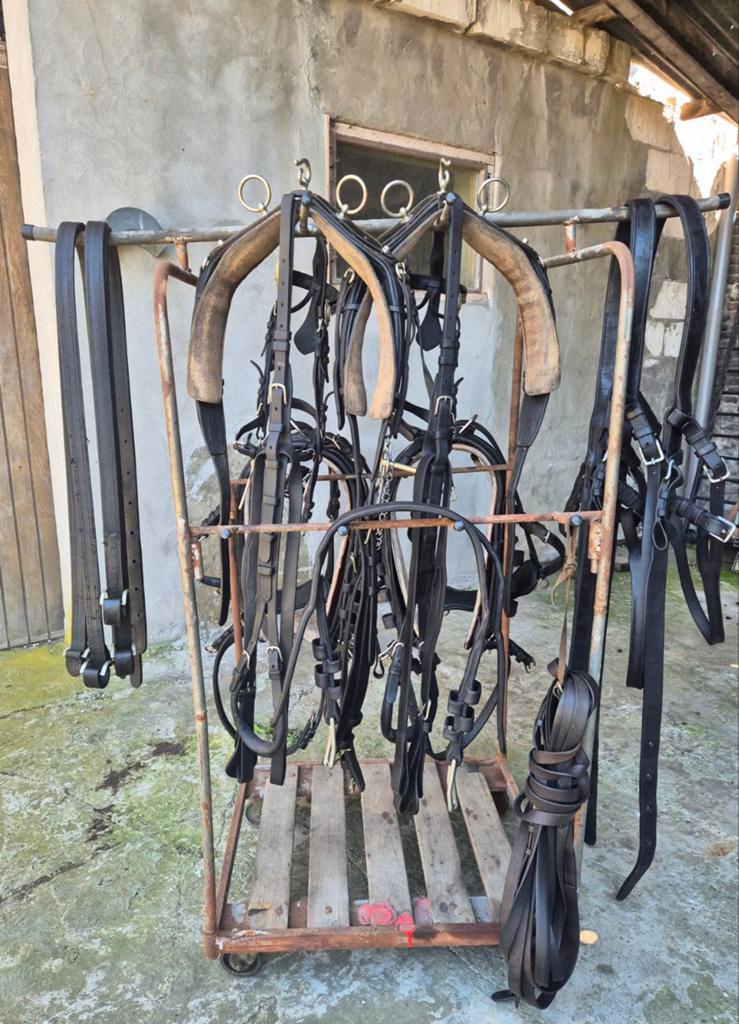 Voor tweespan " zware borsttuigen + broeken ", Dieren en Toebehoren, Paarden en Pony's | Hoofdstellen en Tuigage, Ophalen, Zo goed als nieuw