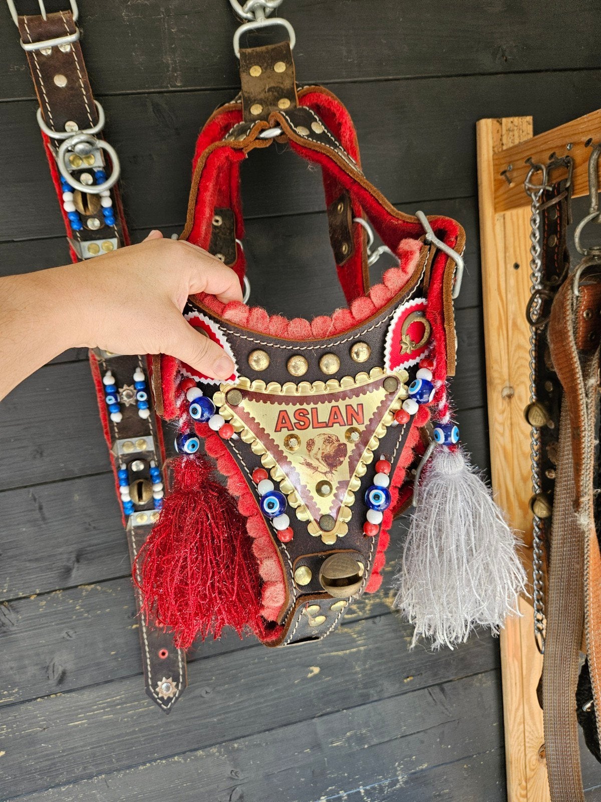 honden, Ophalen, Halsband