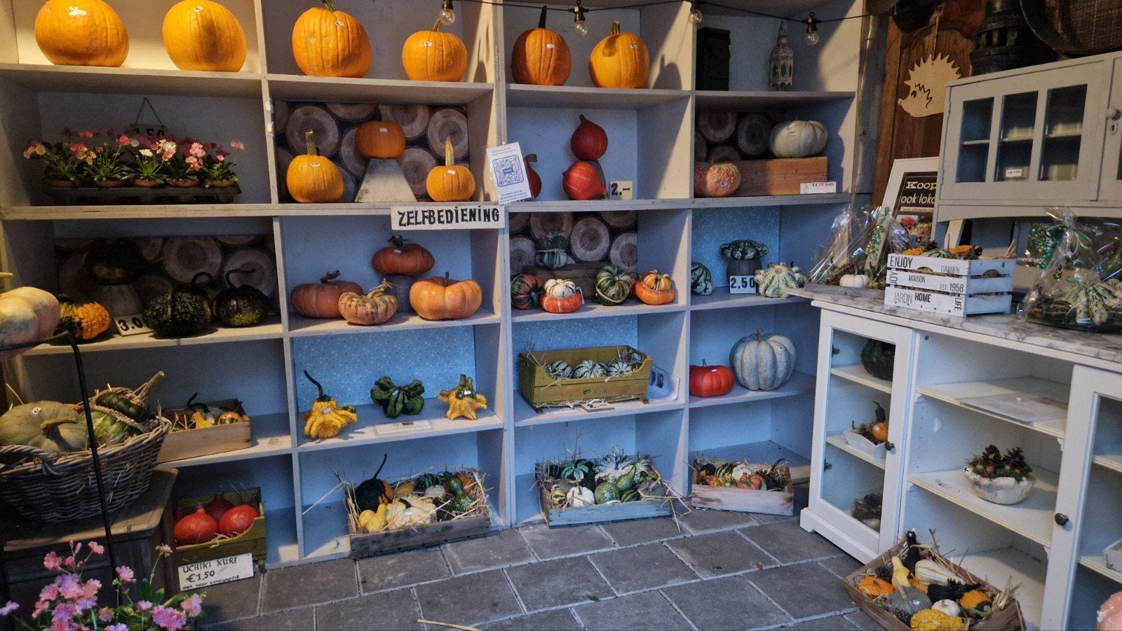 Pompoenen,  kalebassen,  sierfruit,  herfstdecoratie's, Tuin en Terras, Overige Tuin en Terras, Ophalen