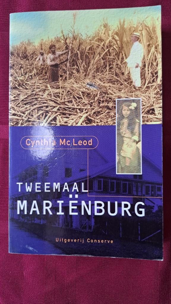 Tweemaal Mariënburg, Boeken, Ophalen of Verzenden, Gelezen, Cynthia Mc Leod