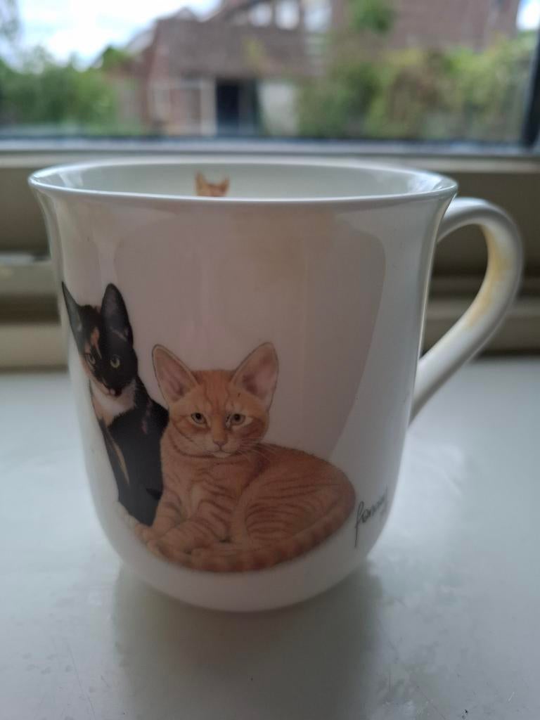 Bekers met katten (Joris), Ophalen of Verzenden