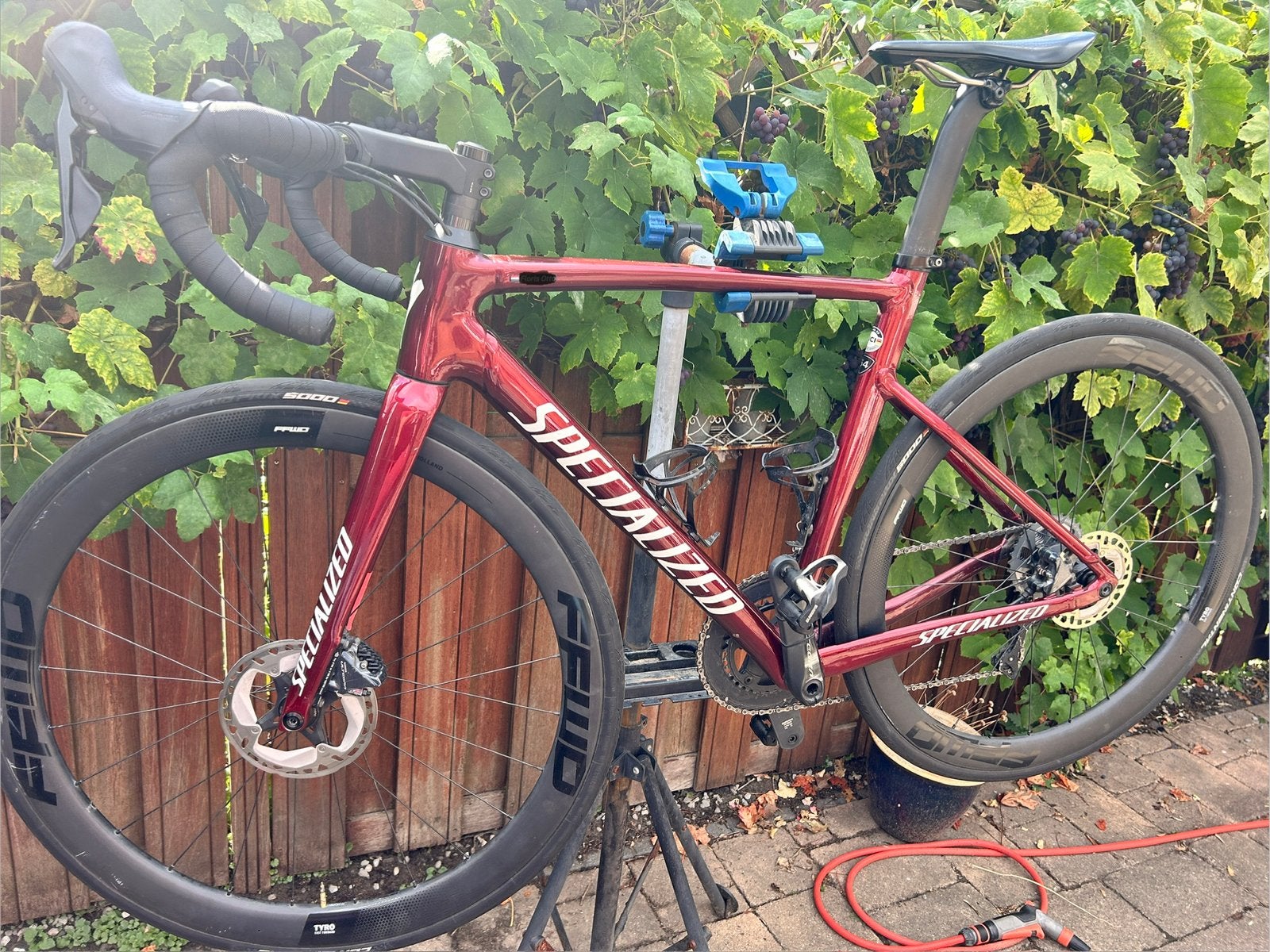 Specialized Allez Sprint, Aluminium, Zo goed als nieuw, Meer dan 20 versnellingen, 53 tot 57 cm