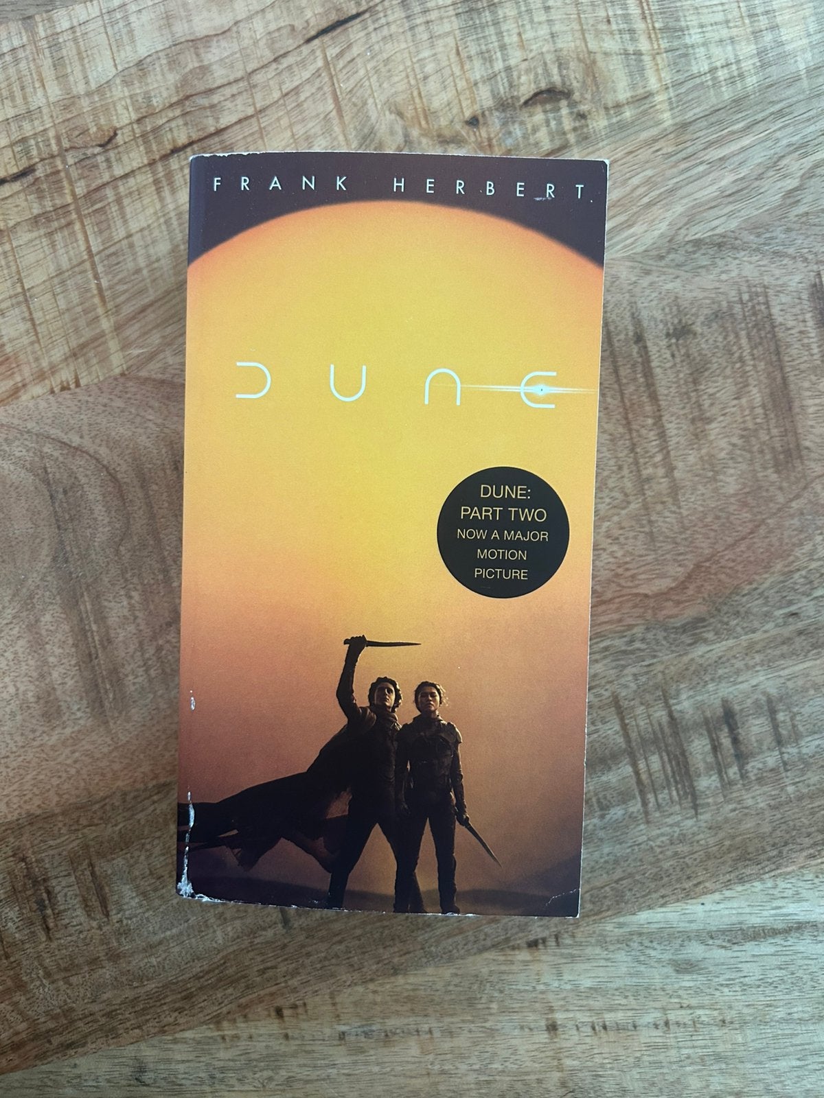 dune boek (engelstalig), Boeken, Ophalen of Verzenden, Zo goed als nieuw