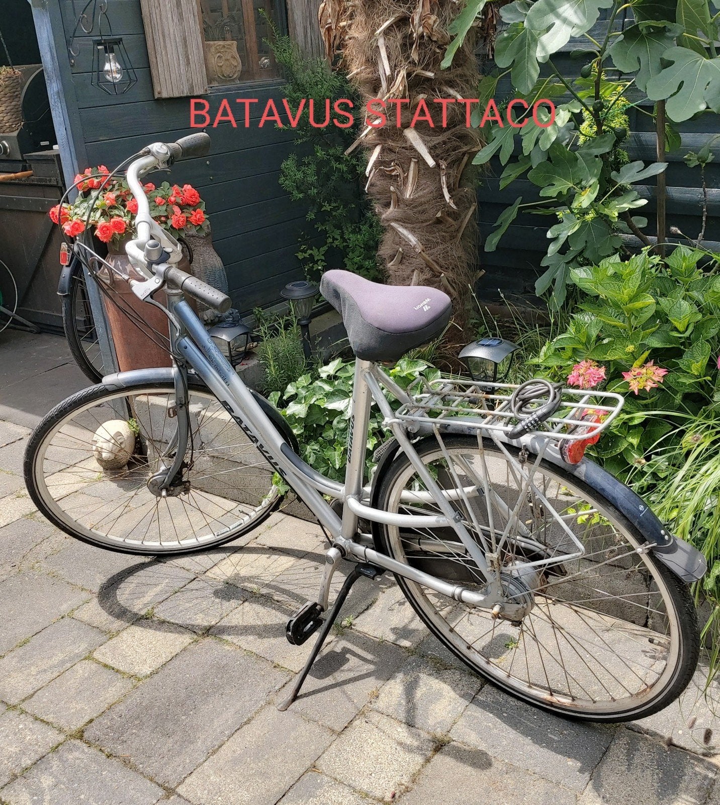 Batavus Staccato damesfiets met Nexus versnellingen, Ophalen, Gebruikt, Batavus, Versnellingen