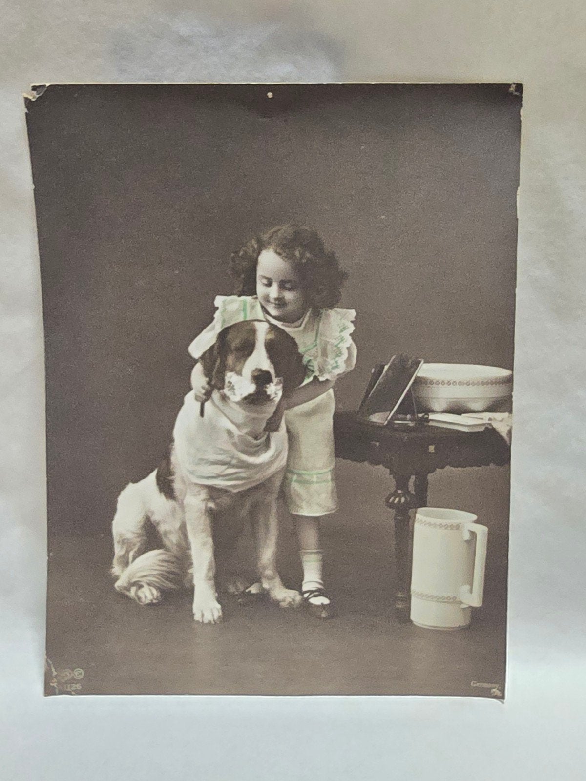 Vintage foto: Meisje met Sint Bernard hond, Ophalen of Verzenden
