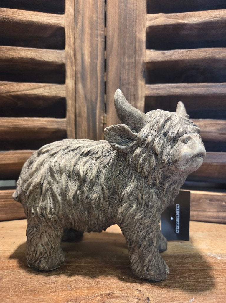 Countryfield Schotse Hooglander Yuki-M-bruin-17x8.5x15.5cm, Overige materialen, Nieuw, Ophalen of Verzenden, Decostar