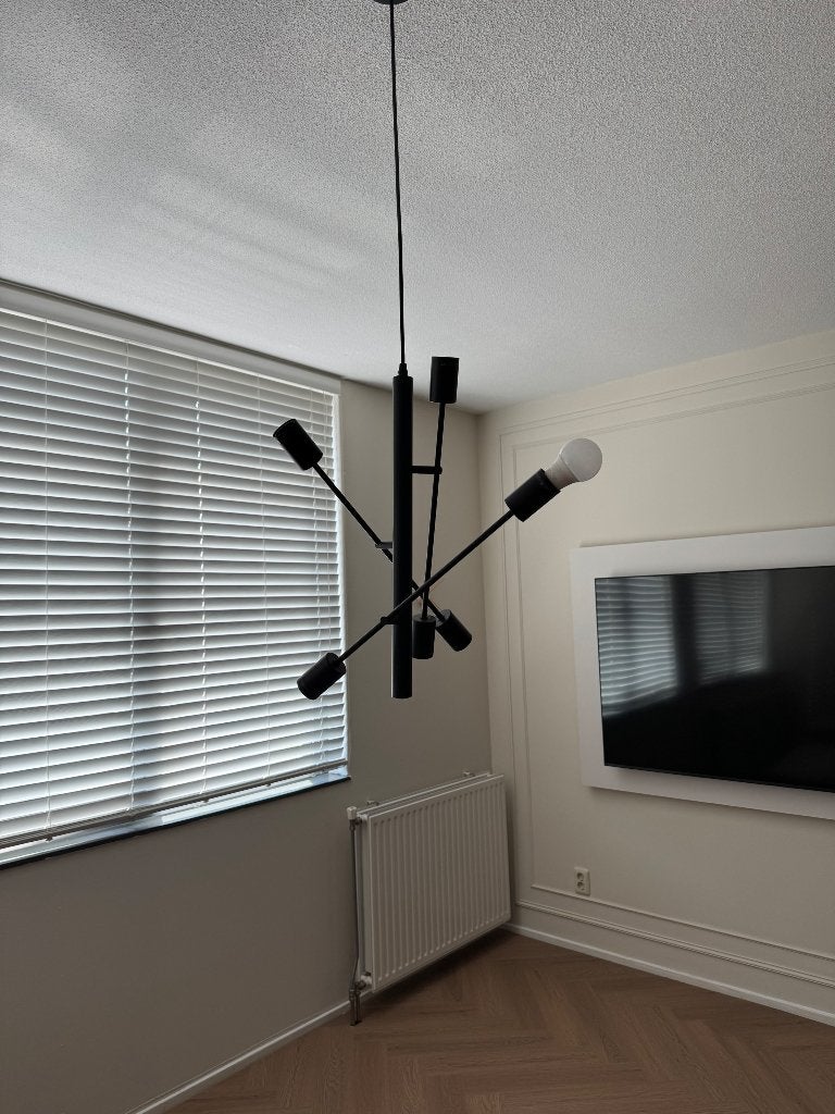 Zwarte Kwantum Hanglamp, Ophalen, Gebruikt, Metaal, E27 (groot)