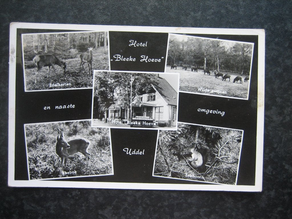 UDDEL  5 luiks Hotel Bleeke Hoeve e.a. `1959, Verzamelen, Ophalen of Verzenden, 1940 tot 1960, Noord-Brabant