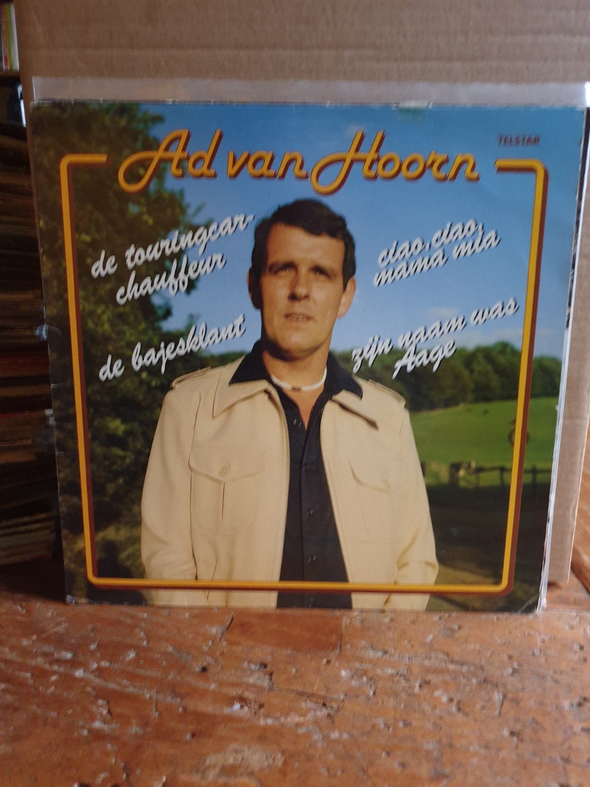 Ad van Hoorn (1), LP, Gebruikt, Ophalen of Verzenden, Levenslied of Smartlap