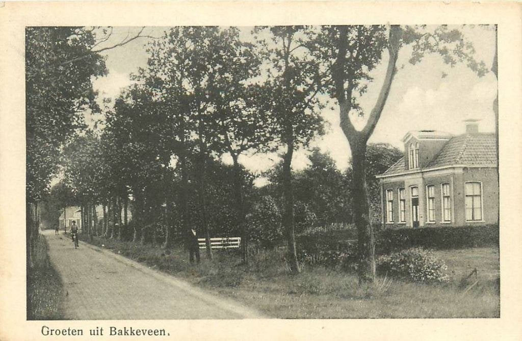388-298-015 Bakkeveen Groeten uit, Verzenden, Voor 1920, Friesland