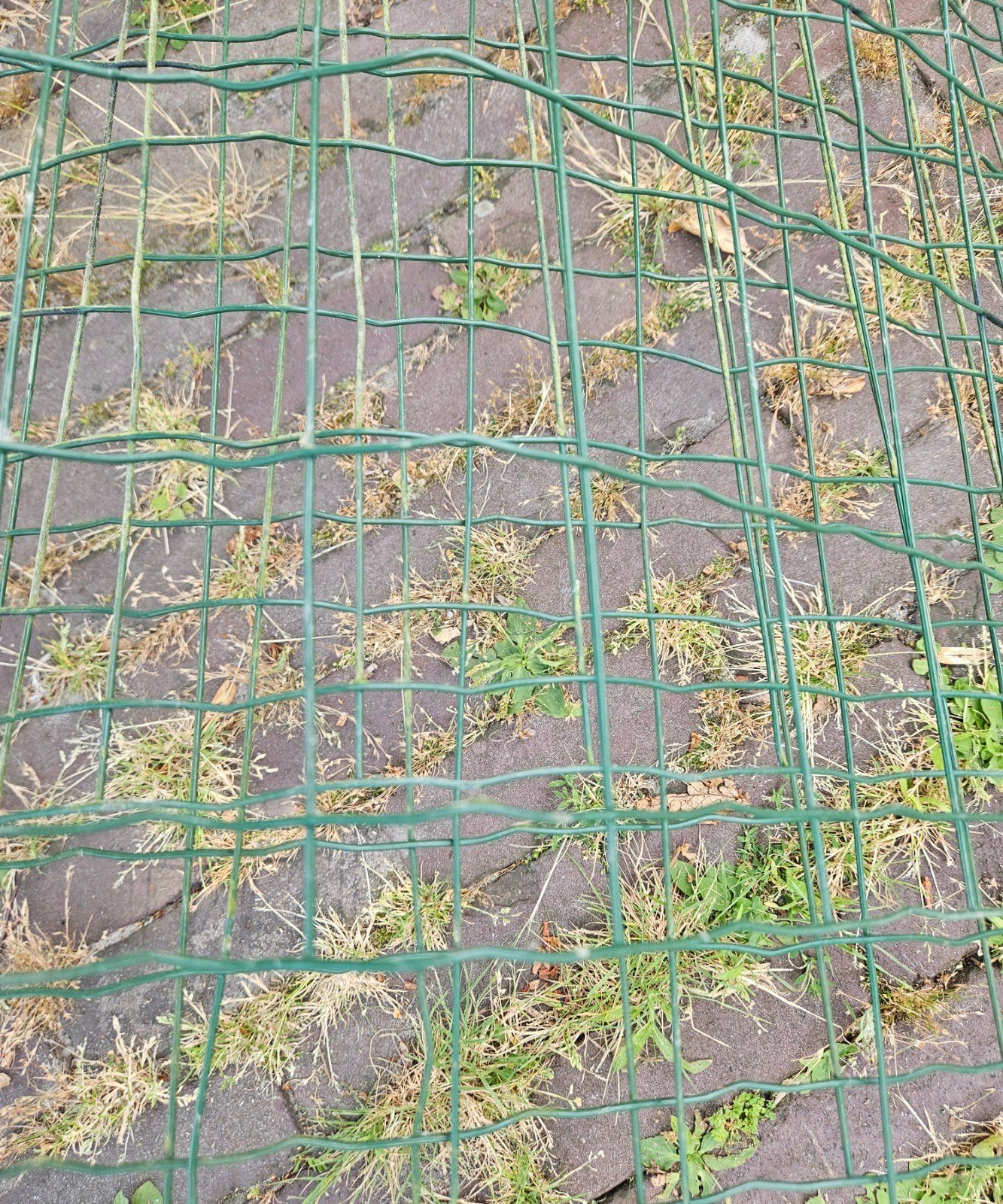 Gratis 4 stukken Groen gaas voor tuin of omheining, Tuin en Terras, Gaas en Draad, Ophalen, Gebruikt, 10 tot 20 meter, Gaas
