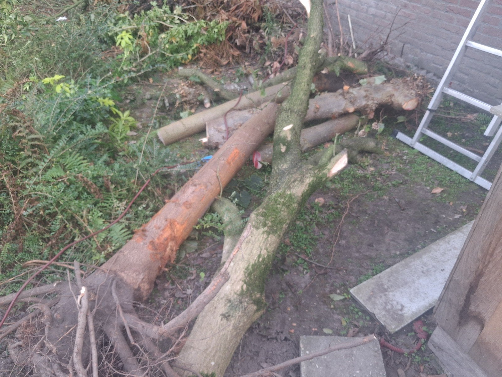 gratis boomstammen, Tuin en Terras, Minder dan 3 m³, Ophalen