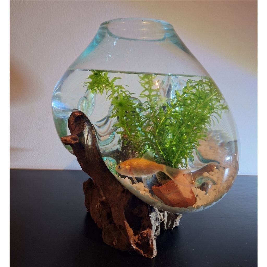 Unieke glazen vissenkom op houten stronk – handgemaakt!, Ophalen of Verzenden, Nieuw, Leeg aquarium