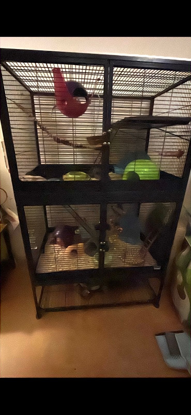 Savic royal suite Rattenkooi, Dieren en Toebehoren, Knaagdieren en Konijnen | Hokken en Kooien, Ophalen, Kooi, Gebruikt, 90 cm of meer