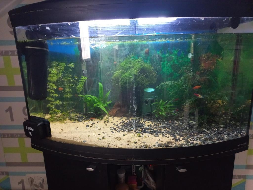 Aquarium Cayman, Dieren en Toebehoren, Ophalen, Zo goed als nieuw, Gevuld zoetwateraquarium