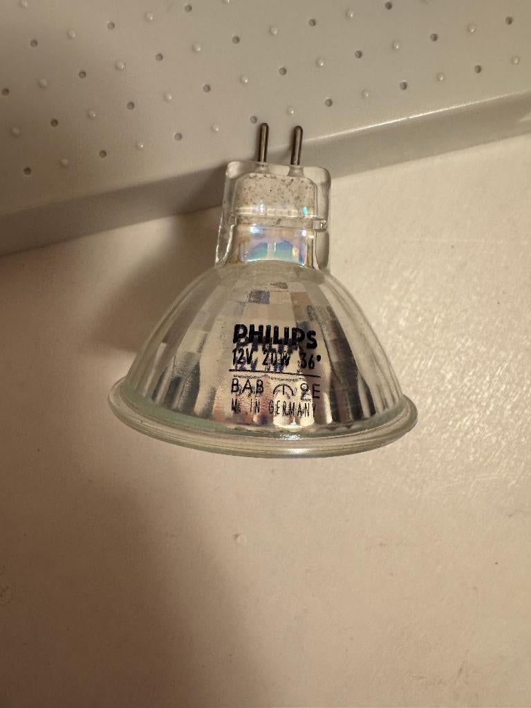 Philips halogeen 20W 12V GU 5.3, 5 stuks, Ophalen, Nieuw, Halogeen (gloei)lamp
