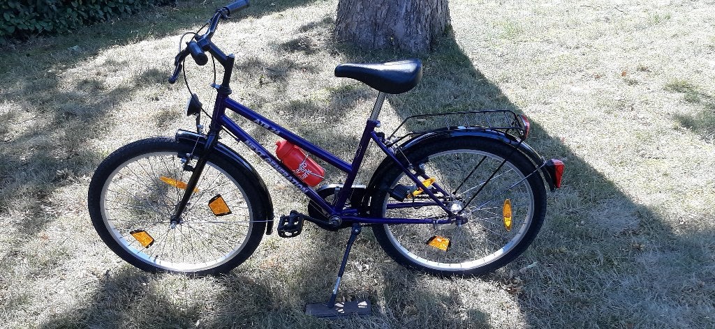kinderfiets, 20 inch of meer, Gebruikt, Velgrem, Ophalen